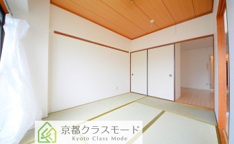 和6