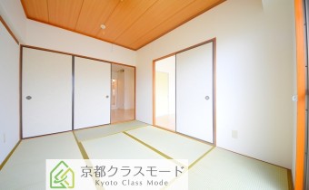 和6