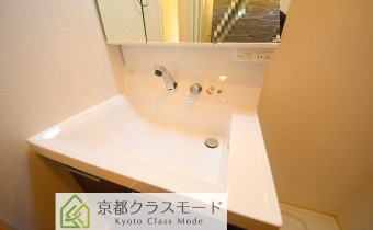 シャンプードレッサー