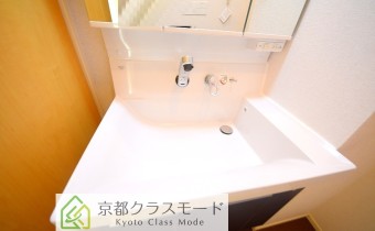 シャンプードレッサー