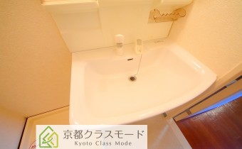 シャンプードレッサー