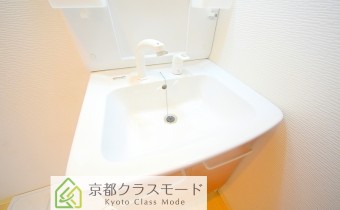 シャンプードレッサー