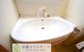 シャンプードレッサー