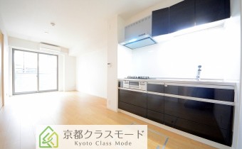 LDK10.1