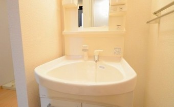 シャンプードレッサー