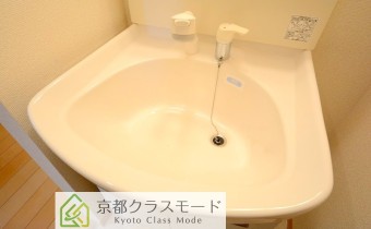 シャンプードレッサー