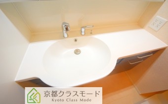 シャンプードレッサー