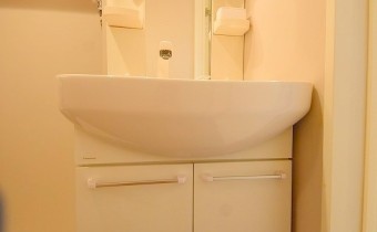 シャンプードレッサー