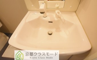 シャンプードレッサー