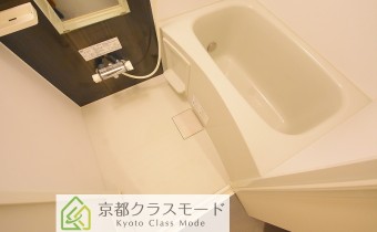 シャンプードレッサー
