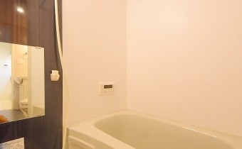 シャンプードレッサー