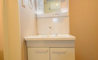 シャンプードレッサー　