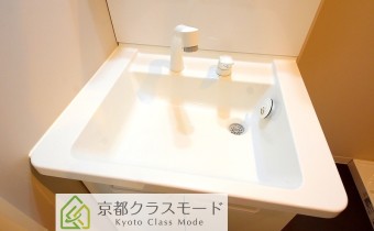 シャンプードレッサー　
