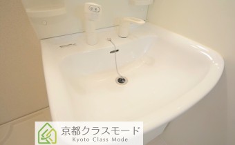 シャンプードレッサー　