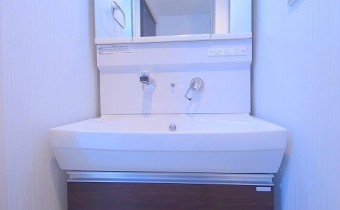 シャンプードレッサー