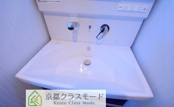 シャンプードレッサー