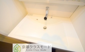 シャンプードレッサー