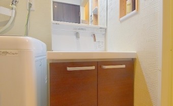 シャンプードレッサー