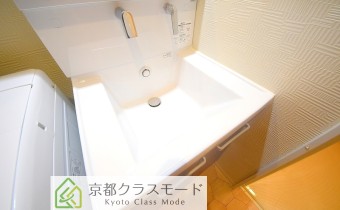 シャンプードレッサー