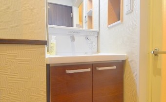 シャンプードレッサー