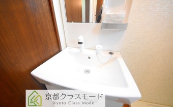 シャンプードレッサー