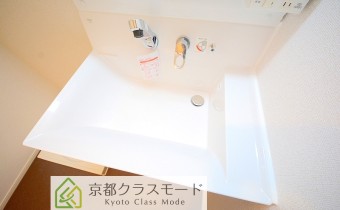 シャンプードレッサー