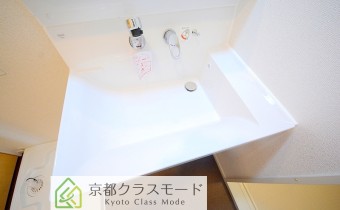 シャンプードレッサー