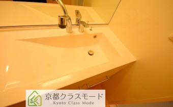 シャンプードレッサー