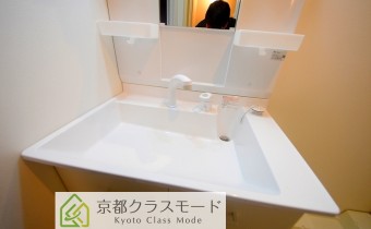 シャンプードレッサー