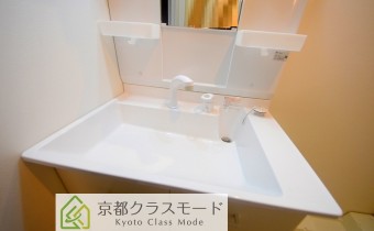 シャンプードレッサー