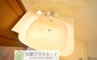 シャンプードレッサー