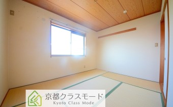 和6