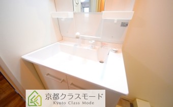 シャンプードレッサー