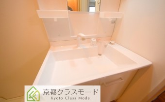 シャンプードレッサー