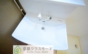 シャンプードレッサー