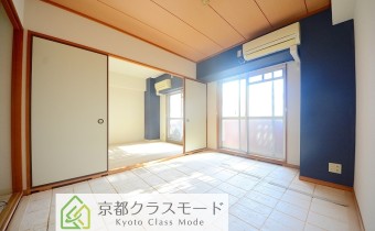 和6