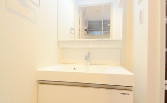 シャンプードレッサー