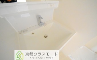 シャンプードレッサー