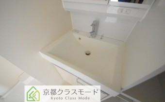 シャンプードレッサー
