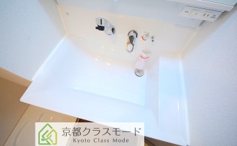 シャンプードレッサー