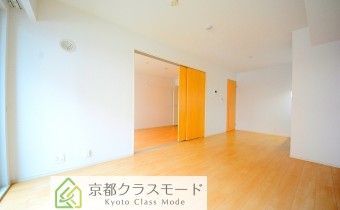 LDK10.1