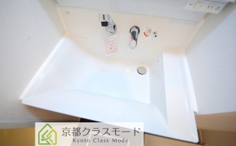 シャンプードレッサー