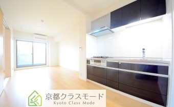 LDK10.1