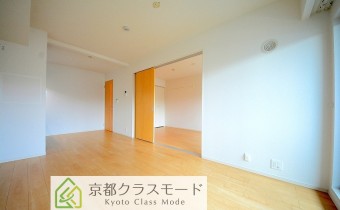 LDK10.1