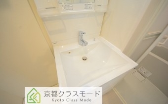 シャンプードレッサー