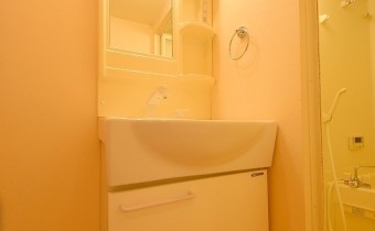 シャンプードレッサー