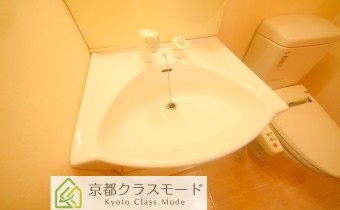 シャンプードレッサー