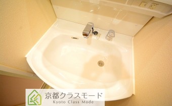 シャンプードレッサー