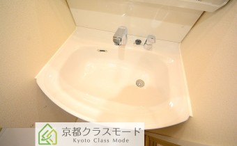 シャンプードレッサー