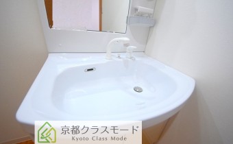 シャンプードレッサー
